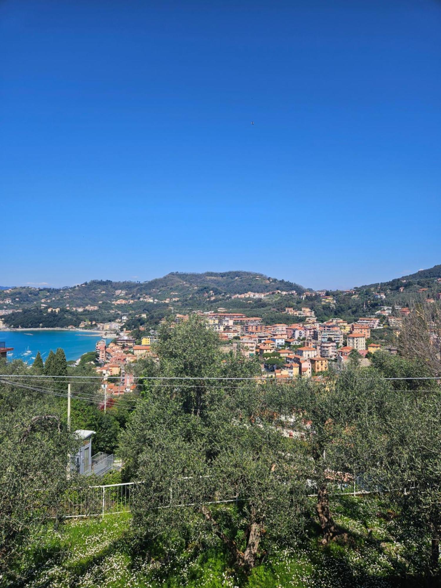 Villa Degli Ulivi - Free Parking Lerici Extérieur photo